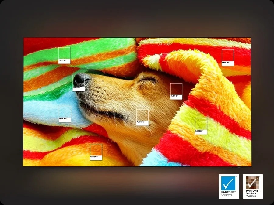 %D1%82%D0%B5%D0%BB%D0%B5%D0%B2%D0%B8%D0%